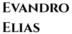 evandroelias.com.br